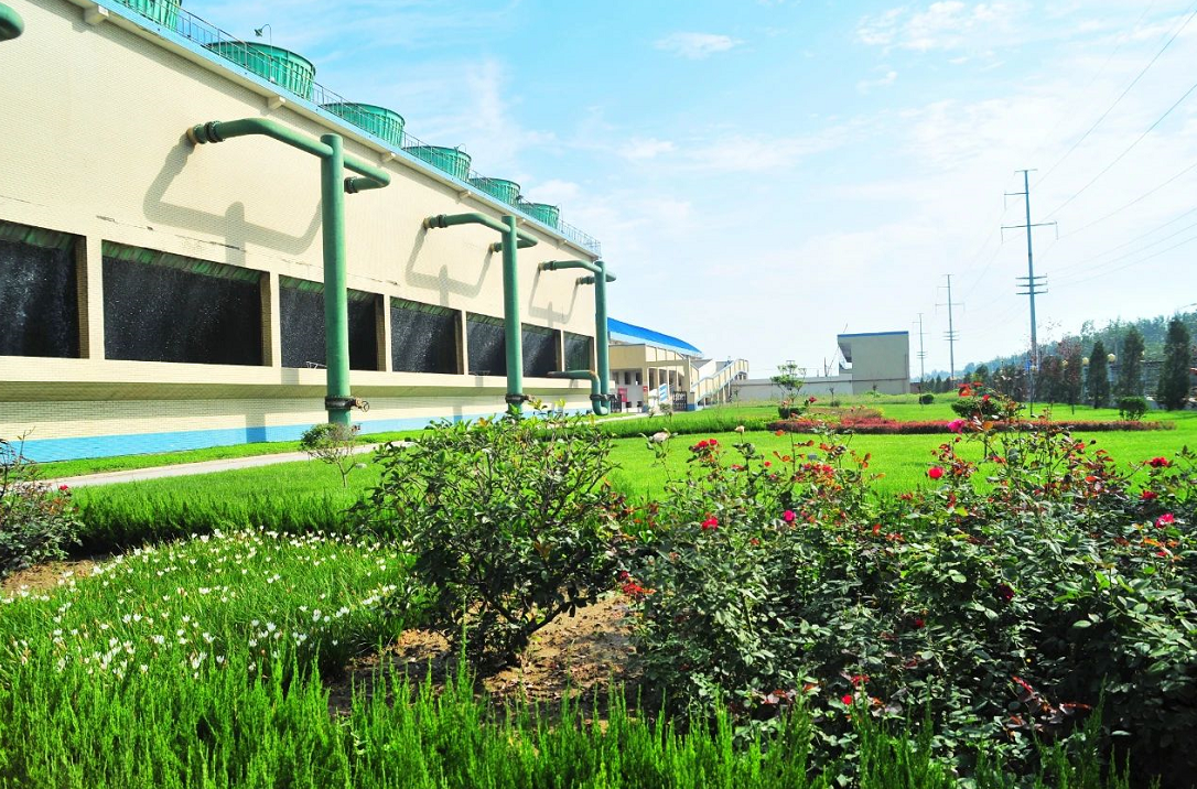 1591685425831068.png image.png