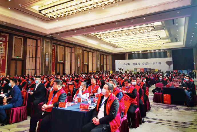 1605505245391280.png image.png