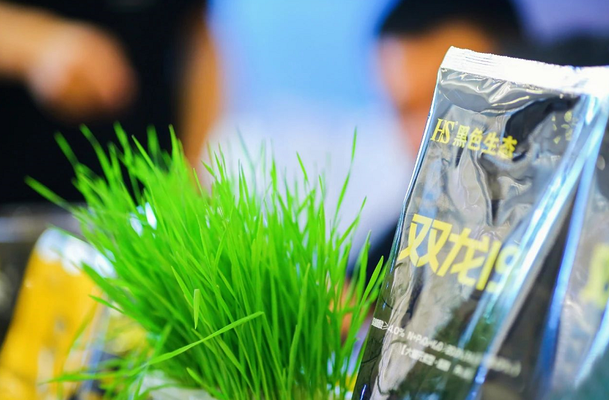 1622424335409509.png image.png