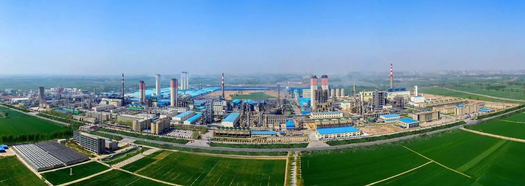 1626143984692532.png image.png