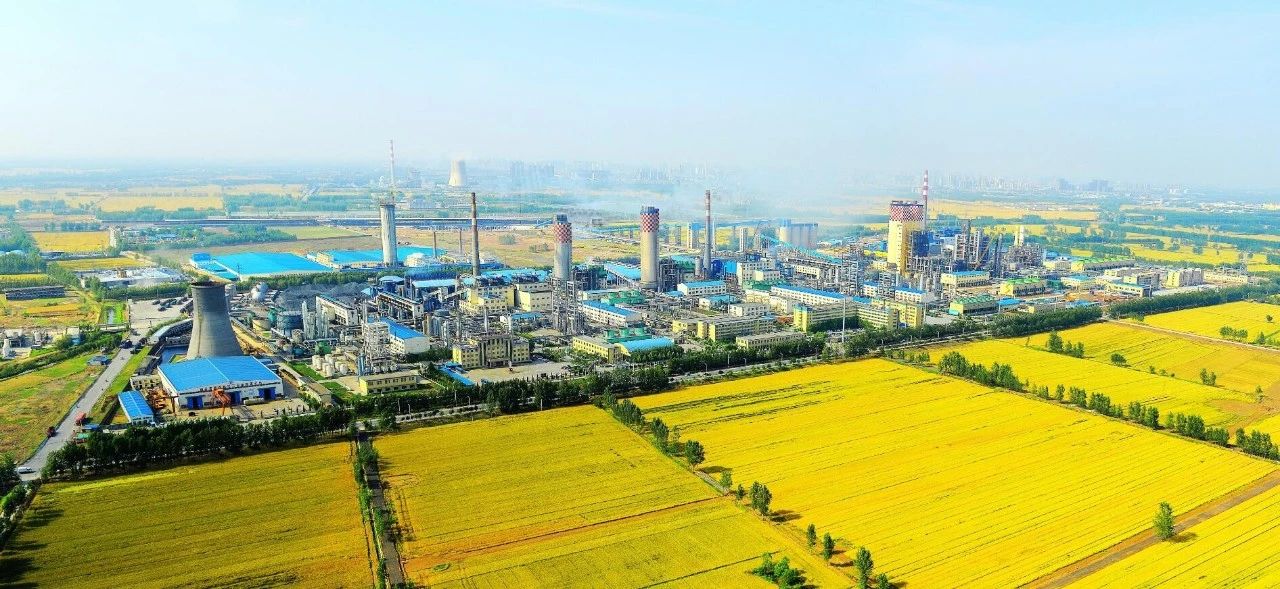 【心連心·瞬間】心連心化學(xué)工業(yè)集團(tuán)建廠50周年回眸（四）